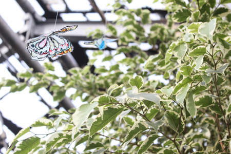 Artificial Butterfly sitting on green leaves.の写真素材