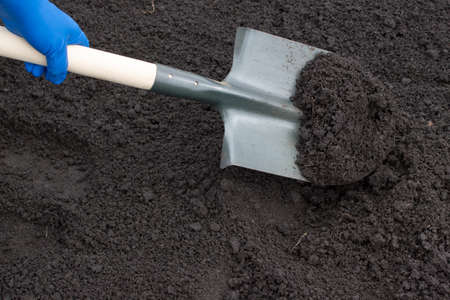 Shovel on field digging hole with spade in fieldの写真素材