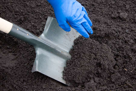 Shovel on field digging hole with spade in fieldの写真素材