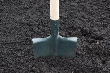 Shovel on field digging hole with spade in field
