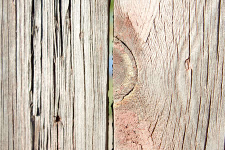rustic weathered barn wood background with knots and nail holesの写真素材