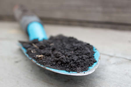 spoon spade shovel,gardening tools or agriculture toolsの写真素材