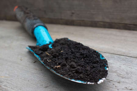 spoon spade shovel,gardening tools or agriculture toolsの写真素材