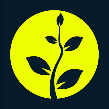 Black tree silhouette - Vector illustrationのイラスト素材