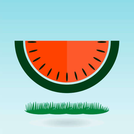 Watermelon slice. Grass concept.のイラスト素材