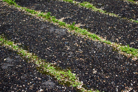 Asphalt textureの写真素材