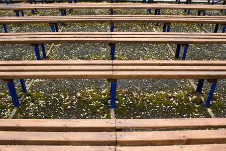bench in the autumn parkの写真素材