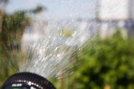 Watering lawn grass with a shower sprayer headの写真素材