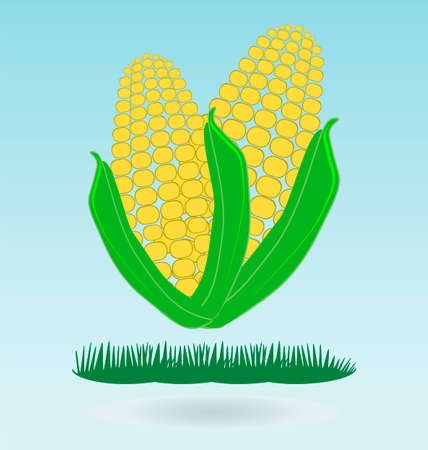 Two ears of corn, grass conceptのイラスト素材