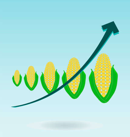 ears of corn, growth chartのイラスト素材