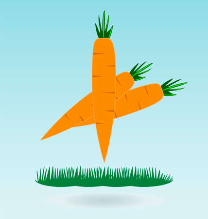 Farm fresh organic carrots with leaves, grass conceptのイラスト素材