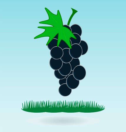 bunch of grapes, grass concept, grass conceptのイラスト素材