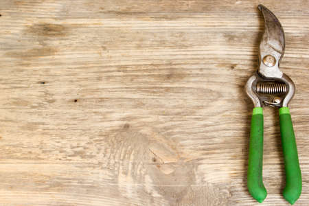 green garden secateurs on old wooden table. Copy space to right.の写真素材