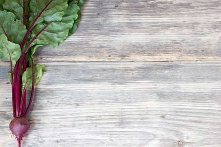 Fresh organic beet on a wood table with copy spaceの写真素材