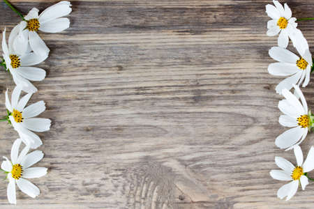 Bouquet of Garden Small Camomiles  on Rustic Wooden background with copy spaceの写真素材