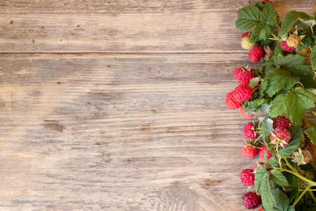 Fresh ripe raspberries with large leaves on the old wooden table with copy space