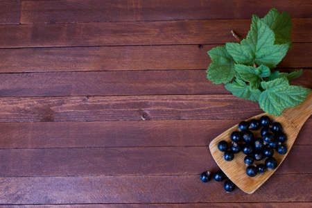 black currant and green leaves on wooden table  with copy spaceの写真素材