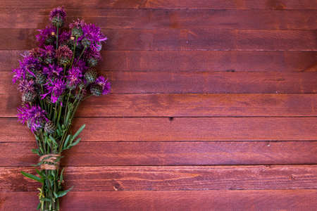 burdock flowers on a wooden with copy spaceの写真素材