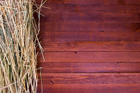 Golden autumn fall hay straw texture background wallpaper, on a wooden with copy spaceの写真素材
