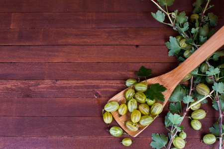 Fresh berries of red and green gooseberries with leaves on the old wooden table with copy spaceの写真素材