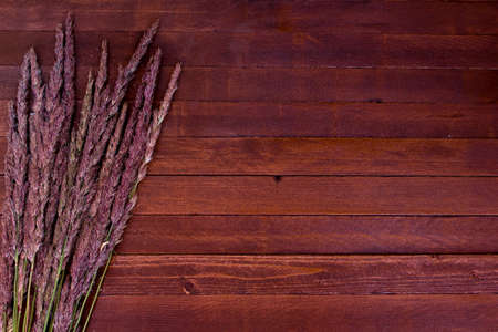 Ears of wheat on a brown wooden background. Copy space to right.の写真素材