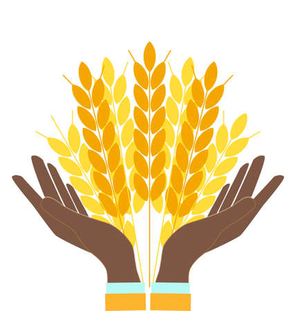 Hands holding wheat ears, agribusiness, agrobusinessのイラスト素材