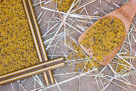 Mustard seeds in wooden spoonの写真素材