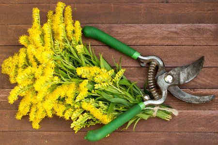 yellow flowers on wooden background