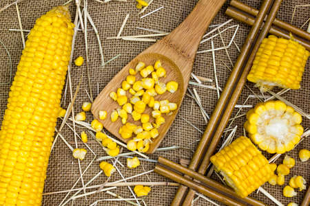 Grains of ripe corn on burlap sack backgroundの写真素材