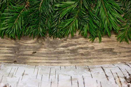 Christmas fir tree on wooden board backgroundの写真素材