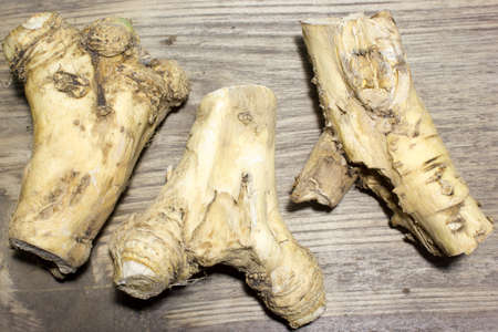 Horseradish root on wooden backgroundの写真素材