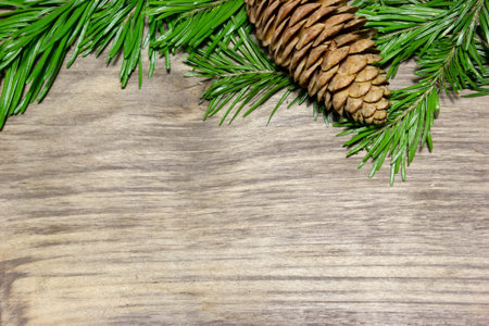 Fir cones and branches, Christmas and New Year's backgroundの写真素材