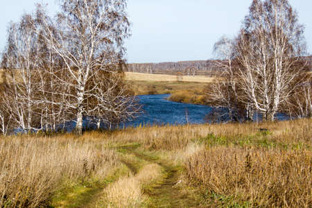 Road in autumn wood, forestの写真素材