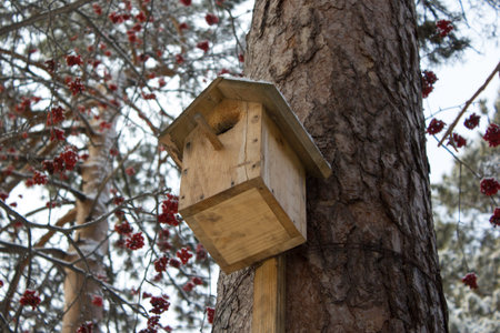 birdhouse on the tree in the winter forest