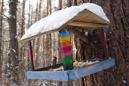 Birdhouse on the tree in the winter forestの写真素材