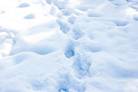 Winter trail, the road in the snowの写真素材