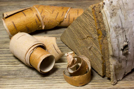 Rolls of birch Bark on woodenの写真素材