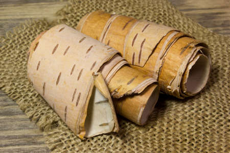 Rolls of birch Bark on woodenの写真素材