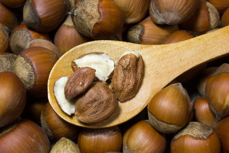 Hazelnut in shell and wooden spoon as background