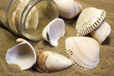 Sea shells and glass jar on sand