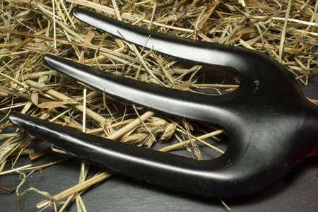 Garden forks on dark backgroundの写真素材