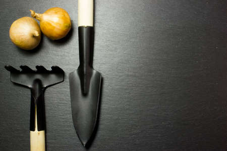 Garden tools on dark backgroundの写真素材