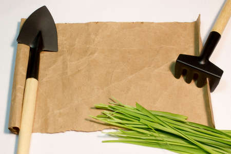 A sheet of paper and garden tools on white backgroundの写真素材