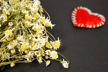 Dry a bouquet of daisies on  dark backgroundの写真素材
