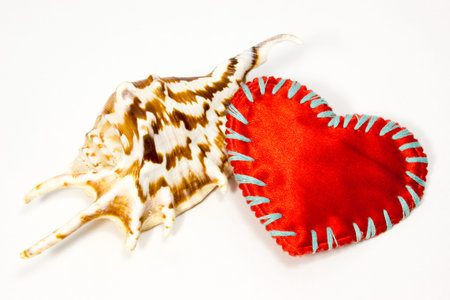 Sea shell  and red heart on white