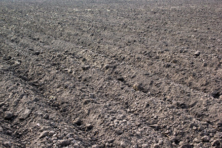 Plowed field
