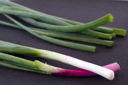 Bunch of green onionsの写真素材