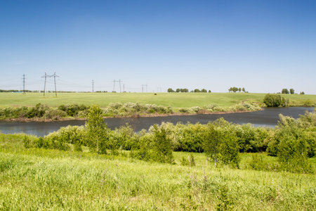River in summer forest