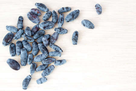 Berries of a honeysuckle on a light backgroundの写真素材