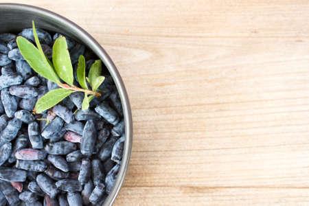 Berries of a honeysuckle on in the Cupの写真素材